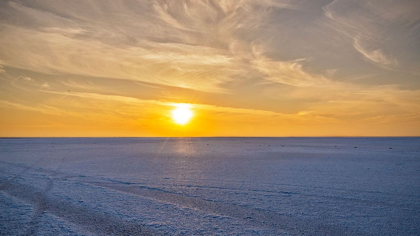The Ultimate Guide to the Great Rann of Kutch: Where the Earth Meets the Sky